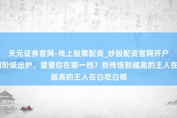 天元证券官网-线上股票配资_炒股配资官网开户 最新喝酒阶级出炉，望望你在哪一档？别传级别越高的王人在白吃白喝